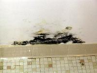 Bathroom wall
